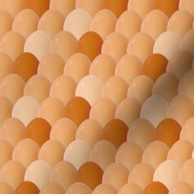  Brown Eggs