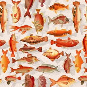 Poissons Rouge
