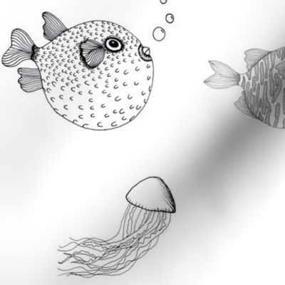 Jellyfish and Pufferfish on White