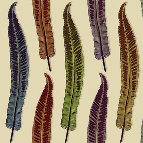 velvet_leaves