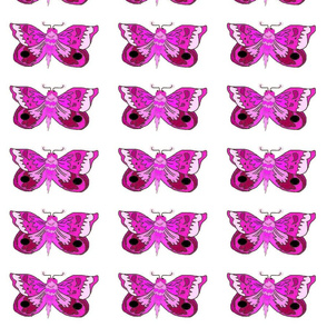 Purple_Moth_white