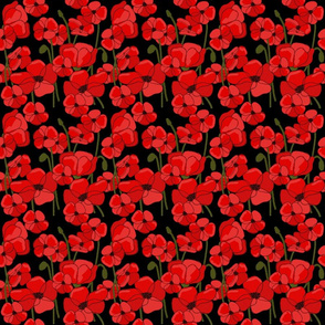 Red Poppies