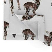 Fawns and Triangles