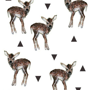 Fawns and Triangles