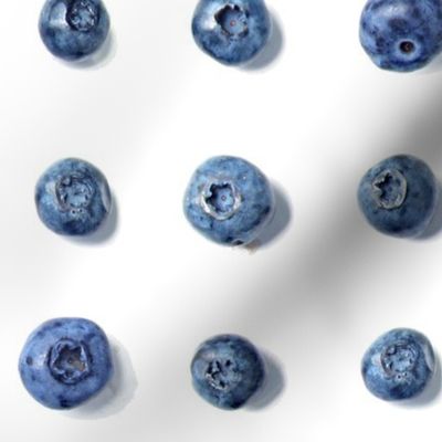 let them eat blueberries (large)