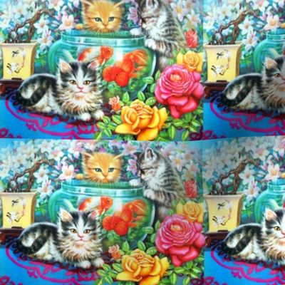cats kittens pussy gold fishes tank bowl roses flowers bonsai leaves plants swallow birds 