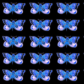Blue_Moth_a