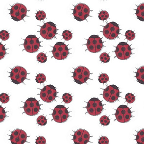 Ladybird Party