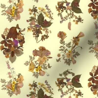 Pressed Flowers