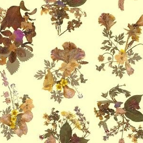 Pressed Flowers