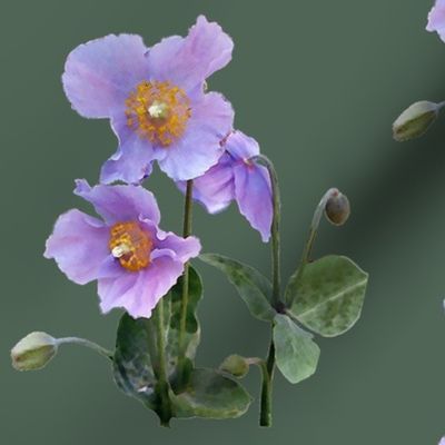 Lilac-poppy-on-sage-green