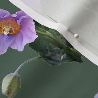 Lilac-poppy-on-sage-green