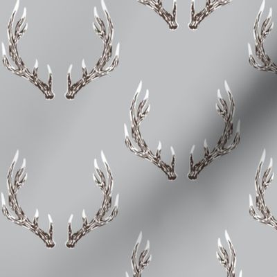 elk antlers grey