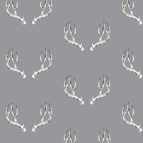 Whitetail deer antlers grey