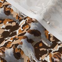 Brittany Spaniel Camo