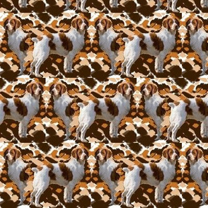 Brittany Spaniel Camo