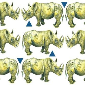 Rhinos and Triangles!