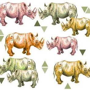 Warm Rhinos and Triangles