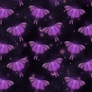 Purple Moon Moth