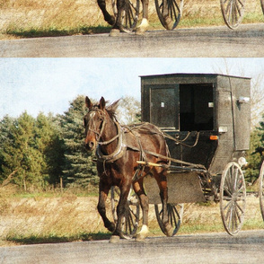 horse and buggy