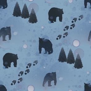 Winter Bears