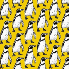 penguin yellow