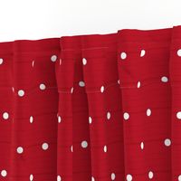 Red Denim Polka Dots