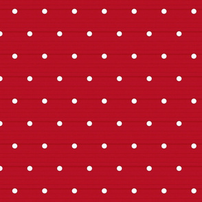 Red Denim Polka Dots