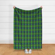 Classic Tartan in Green and Purple