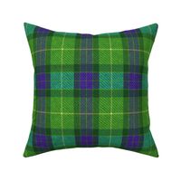 Classic Tartan in Green and Purple