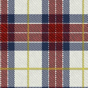Classic Tartan in Red and Blue