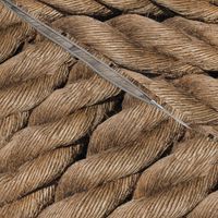 Sail Away: Life Size Ropes in Sunwashed