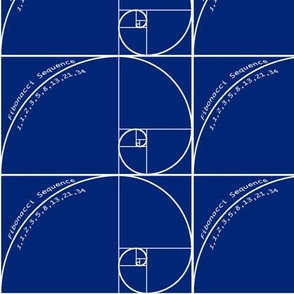 Fibonacci Sequence Spiral  # 34