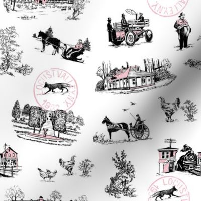 LOCUST_VALLEY_WINTER_TOILE