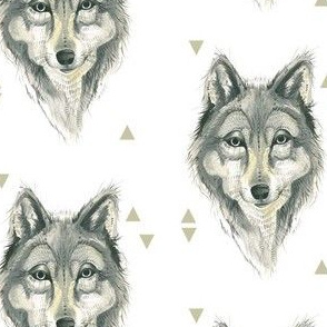 Wolf Plus Triangles