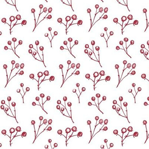 Small berry Bunches red on white