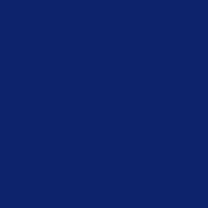 Solid Hawaiian navy blue (0D236B)