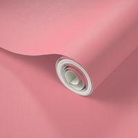 solid eraser pink (F6929B)