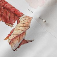 Autumn Leaf 1