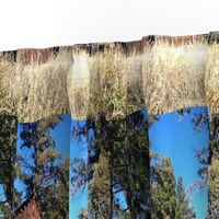 Old barn in Sisters Oregon FQ canvas print 27" x 18" on 