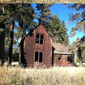 Old barn in Sisters Oregon FQ canvas print 27" x 18" on 