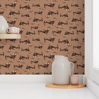 Dachshound on light brown background