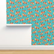 Shetland Sheepdog - Sheltie on turquoise background