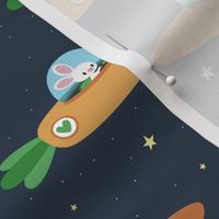 Space bunny and its carrot rocket