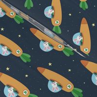 Space bunny and its carrot rocket