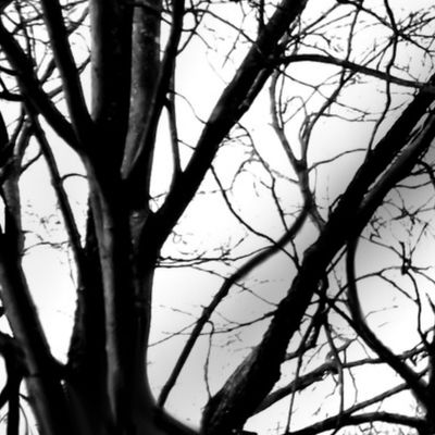 The Tree Lace ~ Black and White ~ Large