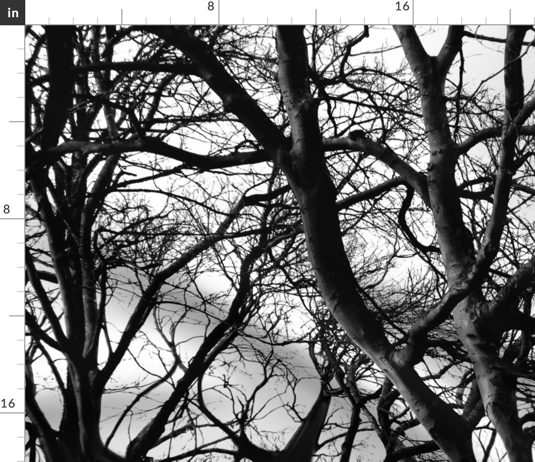 The Tree Lace ~ Black and White ~ Large