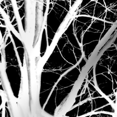 The Tree Lace ~ White and Black ~ Large