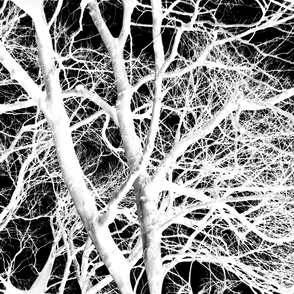 The Tree Lace ~ White and Black ~ Large