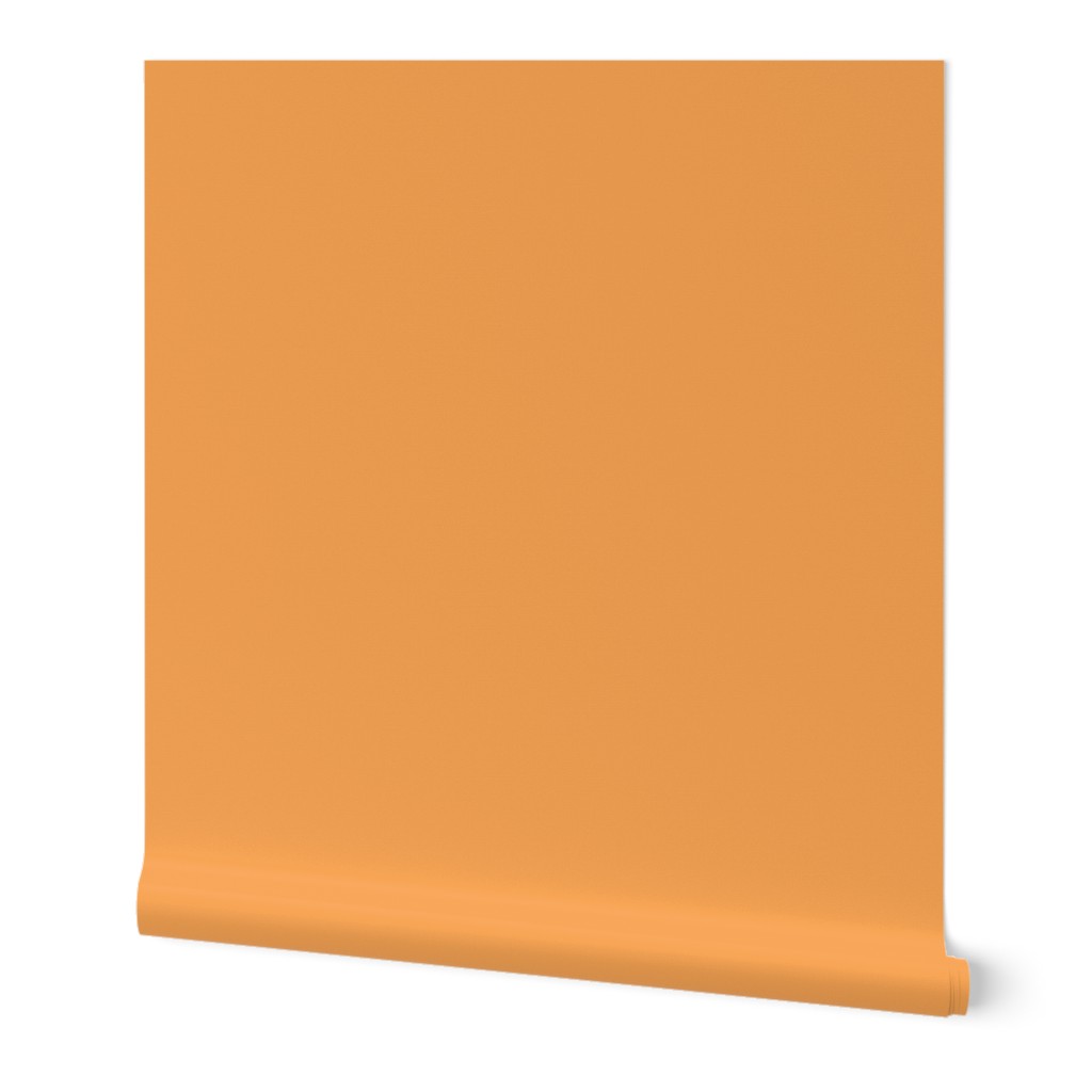 solid creamsicle orange (F7A555)